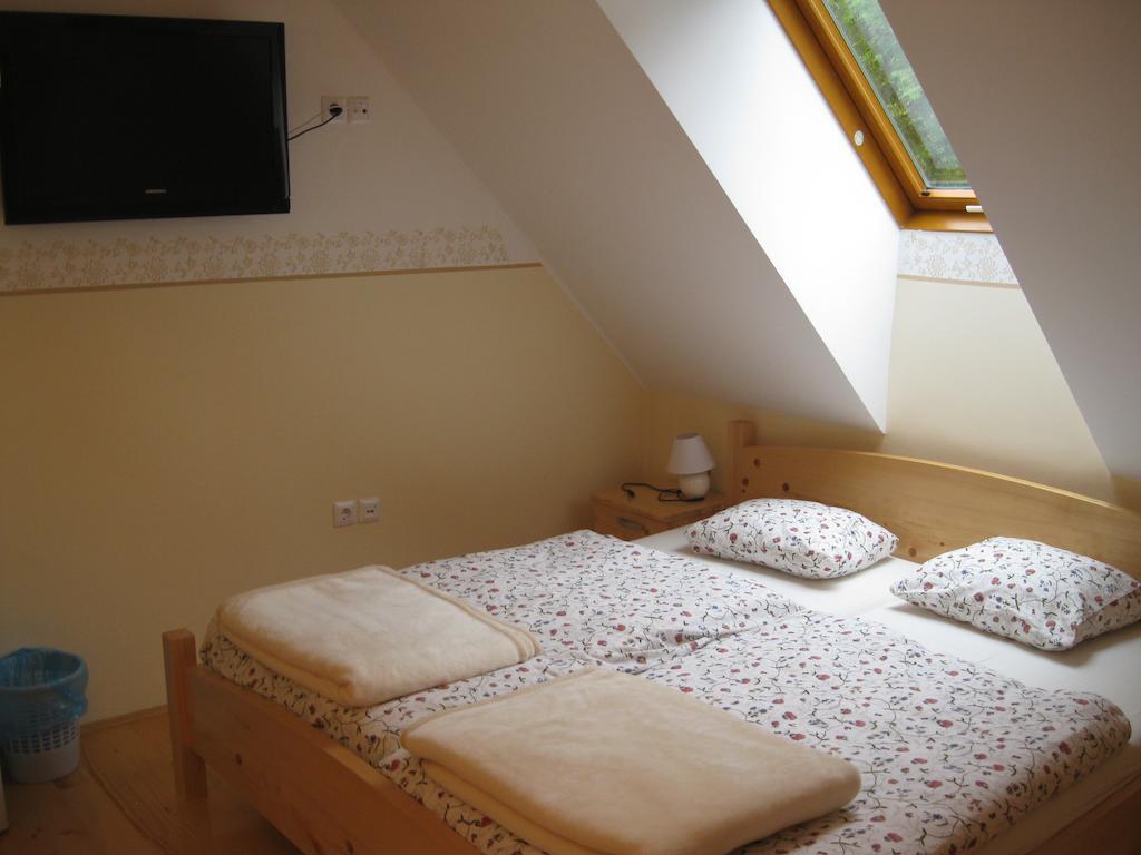 Farmhouse Stiftar Solčava Cameră foto